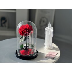 กุหลาบสดในโหลแก้ว 3 ขนาด Size S, M, L พร้อมกล่องสุด Premium