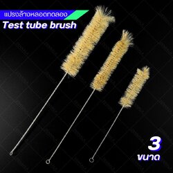 แปรงล้างหลอดทดลอง (Test tube brush)