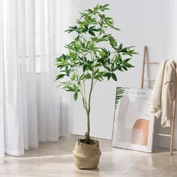 ต้นศุภโชค 120cm / 150cm / 180cm