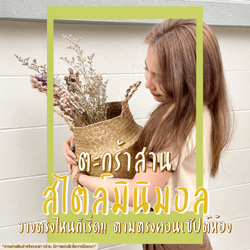 ตะกร้าสานใส่ต้นไม้