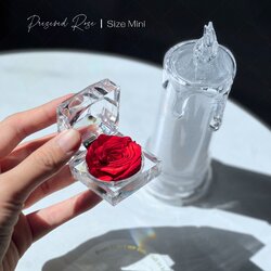กุหลาบพรีเซิร์ฟ ไซส์มินิ ในกล่องคริสตัล Preserved Rose Mini Size