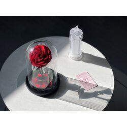 กุหลาบสดในโหลแก้ว Size M พร้อมกล่องสุด Premium