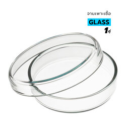 จานเพาะเชื้อ แบบแก้ว Glass Petri Dishes มีให้เลือก 3 ขนาด