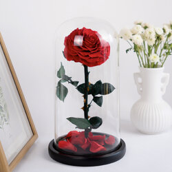 กุหลาบสดในโหลแก้ว Size L (18x32cm) พร้อมกล่องสุด Premium