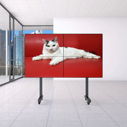 55 นิ้ว วีดีโอวอลล์สำเร็จรูป 2x2 ขอบหนา 1.7 พร้อมขาต้ั้งแบบล้อเลื่อน