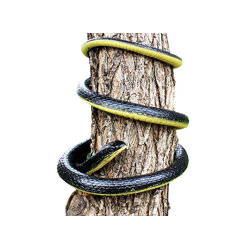 งูยางสำหรับไล่นก