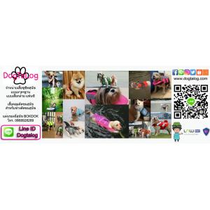 + เสื้อชูชีพสุนัข +