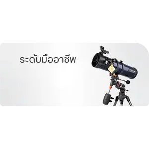 มืออาชีพ