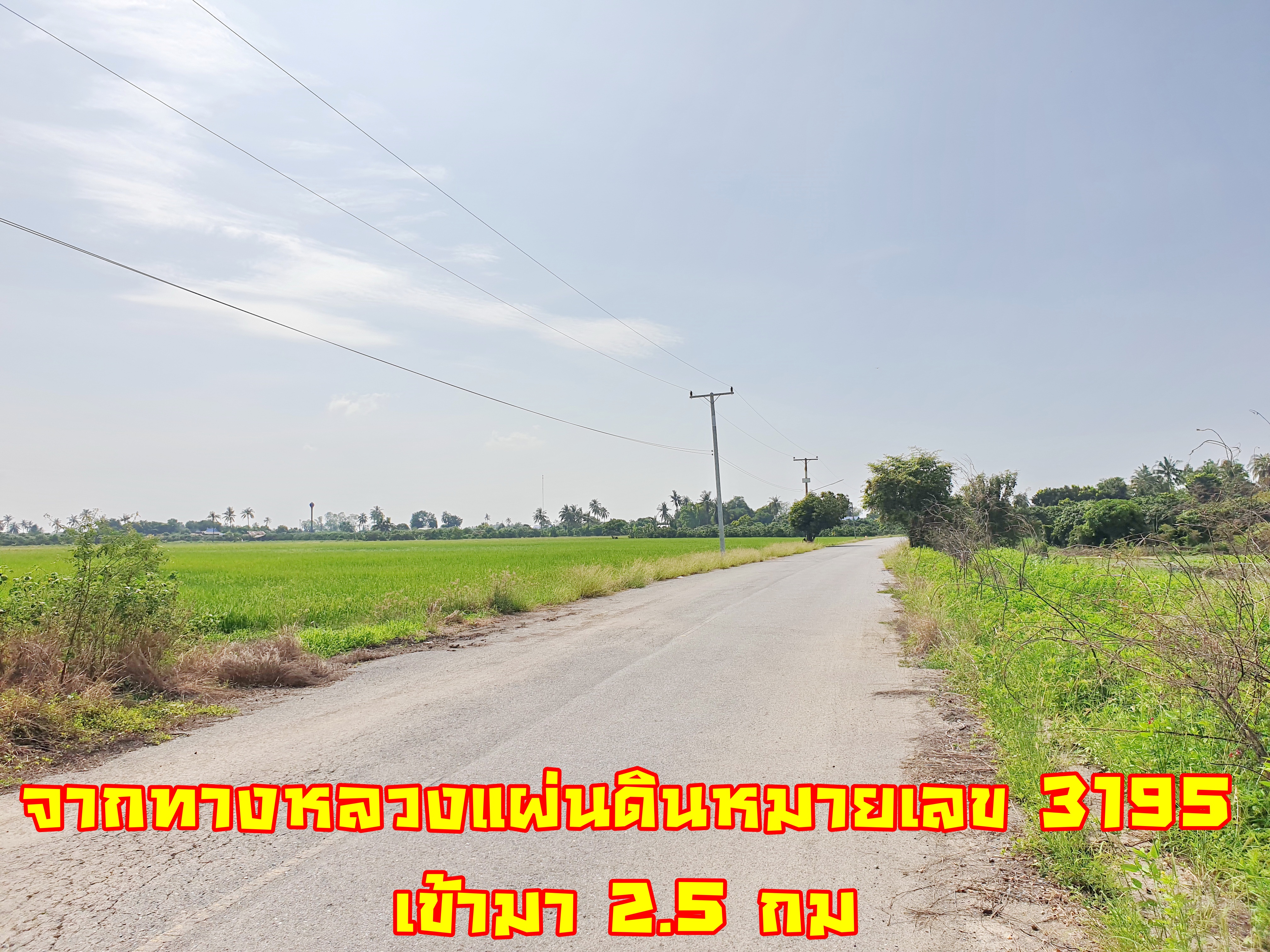 ขายที่ดินทำเลดี ติดถนนลาดยาง 4 ไร่ 1 งาน 36 ตรว.อยู่ใกล้ชุมชน น้ำ+ไฟ พร้อมผ่านหน้าที่ อ.เมือง จ.สุพรรณบุรี ที่สวย บรรยากาศดี อยู่ในแหล่งชุมชน การเดินทางสะดวกสบาย สาธารณูปโภคครบครัน