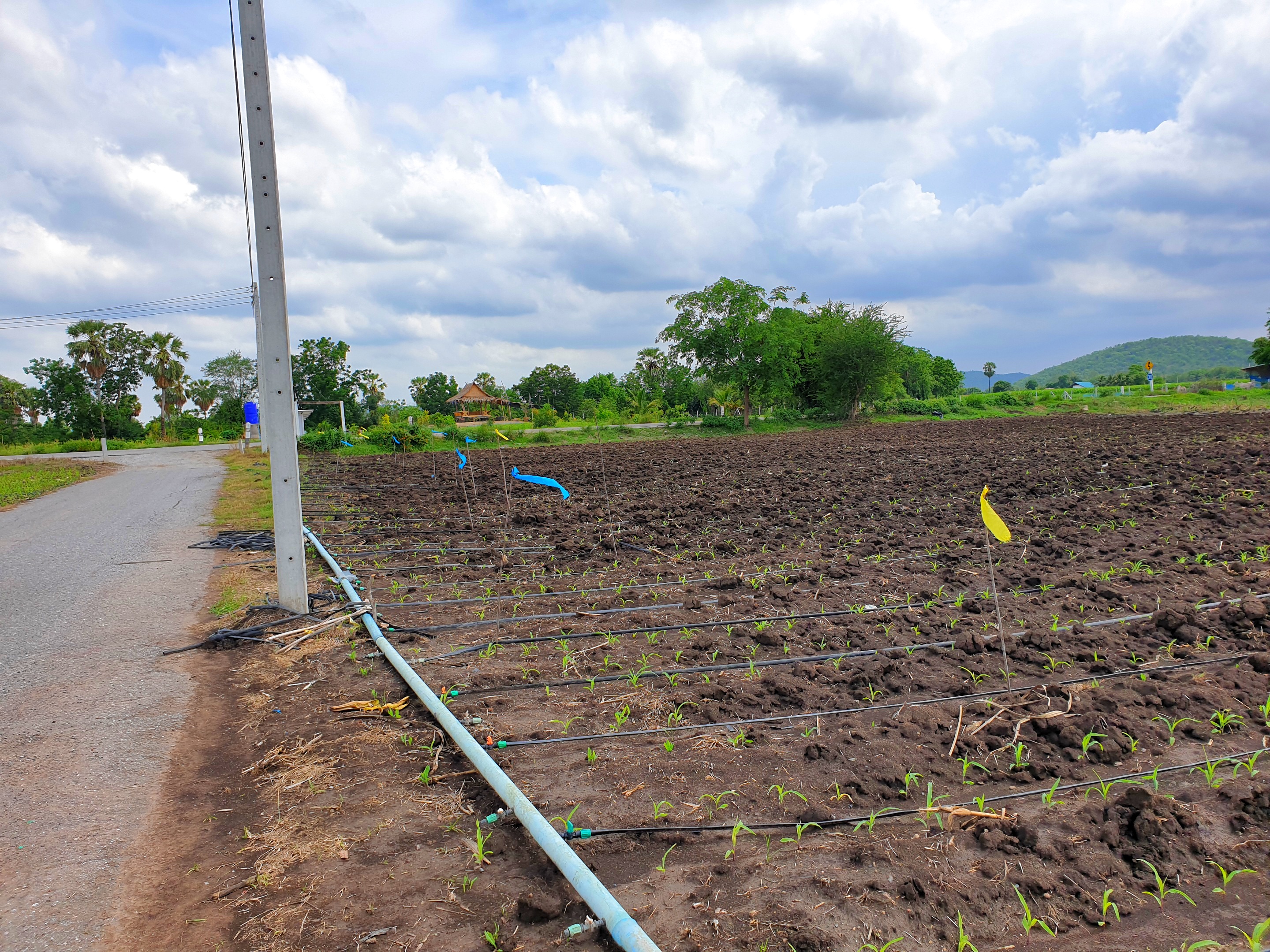 💰ขายแล้ว💰ขายที่ดินสวย ทำเลดี 3 ไร่ 2 งาน อ.อู่ทอง จ.สุพรรณบุรี ติดถนนลาดยาง ท่ามกลางธรรมชาติ วิวภูเขา