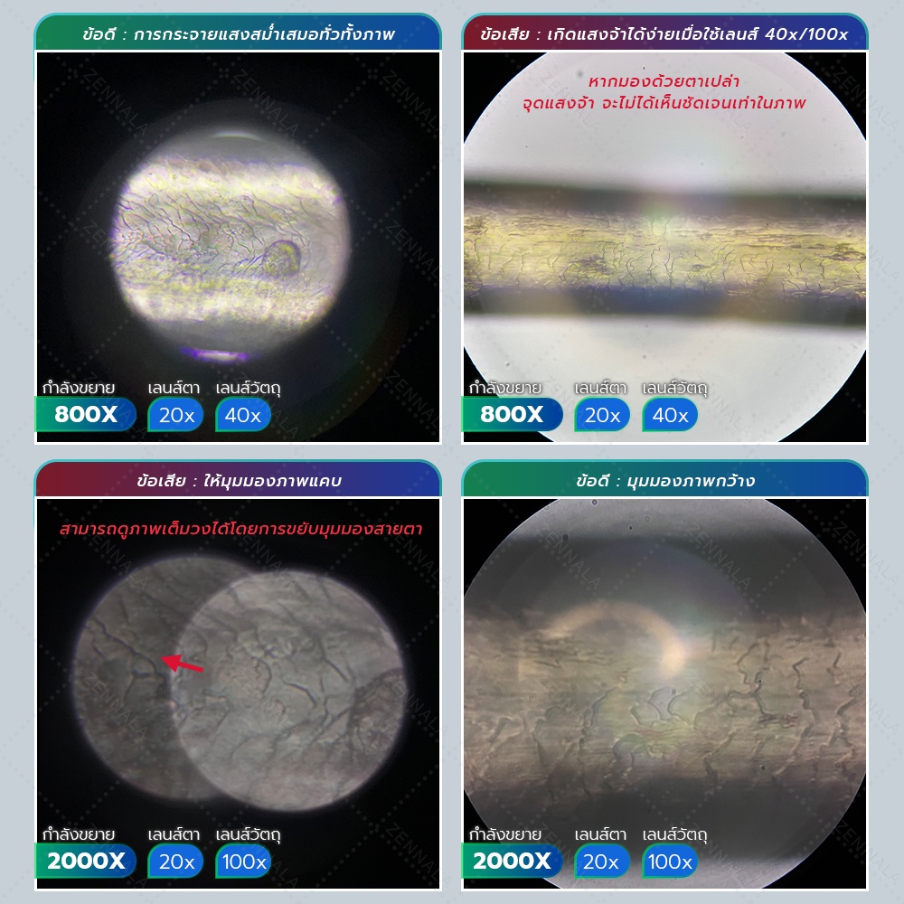 กล้องจุลทรรศน์ Trinocular 2000x ระบบ Infinity มีช่องต่อกล้อง ต่อจอเสริม รุ่น CM2000