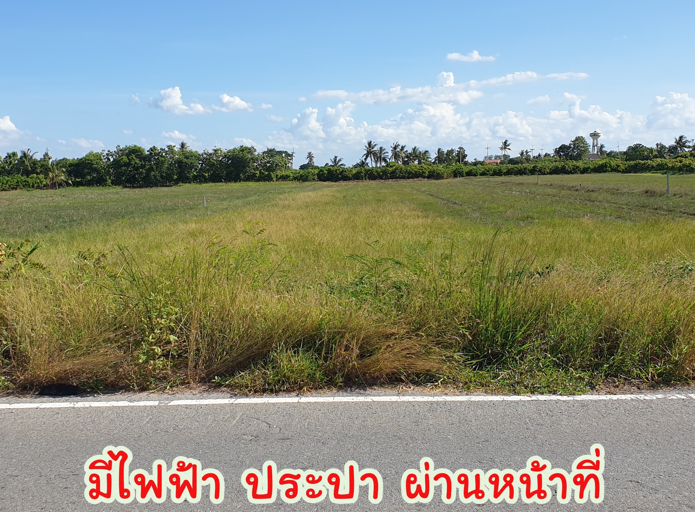 🌌ติดทรัพย์🌌ขายที่ดินติดถนนลาดยาง อ.เมือง จ.สุพรรณบุรี เนื้อที่ 4 ไร่ 2 งาน หน้ากว้างติดถนน 36 เมตร ลึก 195 เมตร อยู่ใกล้ แหล่งน้ำคลองมะขามเฒ่า น้ำอุดมสมบุรณ์ตลอดปี อยู่ใกล้ชุมชน เหมาะปลูกบ้านทำสวนเกษตร ยามเกษียณ หรือเปิดร้านอาหารท่ามกลางธร