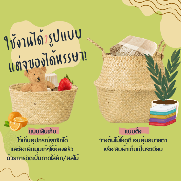 ตะกร้าสานใส่ต้นไม้