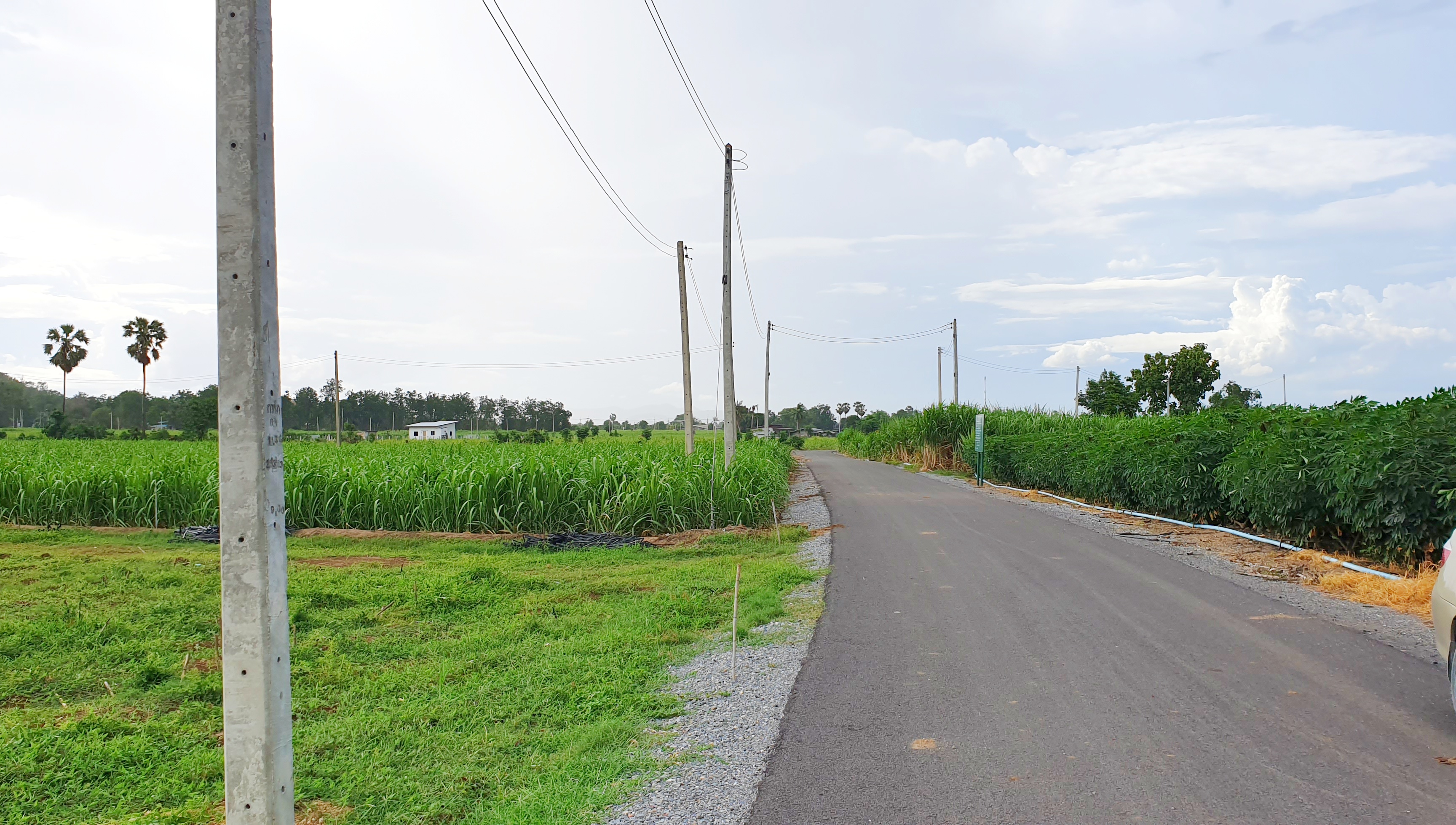 💰ขายแล้ว💰ขายที่ดินวิวสวย ติดถนนลาดยาง บรรยากาศดี วิวทิวทัศน์สวยงาม อ.อู่ทอง จ.สุพรรณบุรี เนื้อที่ 10 ไร่ ราคาไร่ละ 280,000 บาท ด้านหน้าติดถนนลาดยาง เข้า-ออก ได้หลายทาง