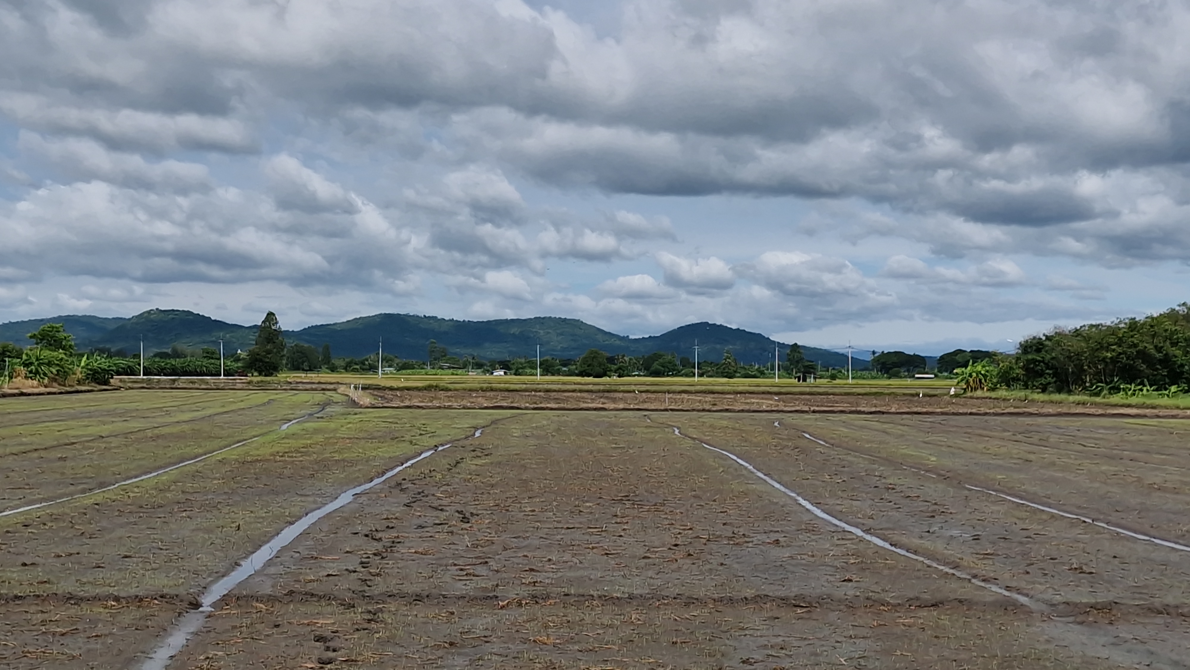 ที่ดินสวย 8 ไร่ 3 งาน 43 ตร.ว. อู่ทอง สุพรรณบุรี หน้ากว้างติดถนนลาดยาง 127 ม. ลึก 153 ม. ทำเลดี มีบ่อน้ำธรรมชาติ ขายเพียง 3.39 ล้าน เหมาะลงทุนหรือทำโครงการ หรือปลูกบ้านพักยามเกษียน ทำเกษตรพอเพียงหรือโคกหนองนา✨