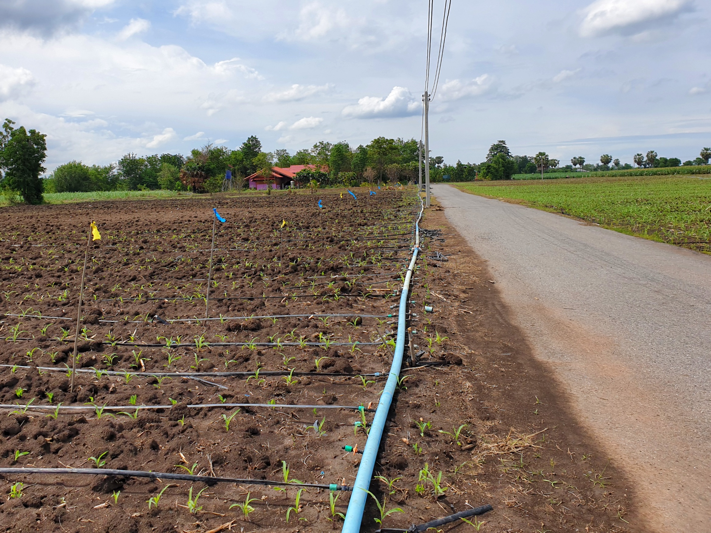 💰ขายแล้ว💰ขายที่ดินสวย ทำเลดี 3 ไร่ 2 งาน อ.อู่ทอง จ.สุพรรณบุรี ติดถนนลาดยาง ท่ามกลางธรรมชาติ วิวภูเขา