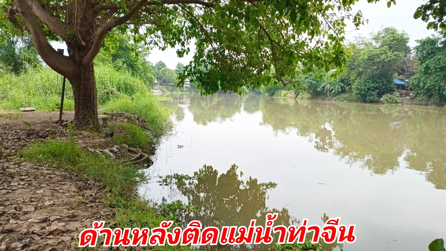 ขายที่ดินริมน้ำท่าจีน ทำเลทอง ต.สามชุก อ.สามชุก จ.สุพรรณบุรี 5 ไร่ 2 งาน 93 ตร.วา 💰 ราคาขาย: ไร่ละ 2.4 ล้าน วิวสวยเหมาะพักผ่อน ที่ดินติดถนนคอนกรีต เดินทางสะดวก เพียง 200 เมตรจากถนนสายเอเชีย (340)