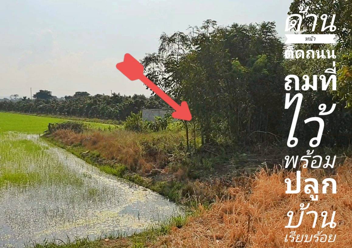 💰ขายแล้ว💰ขายที่ดินแปลงสวย ทำเลดี ติดถนนลาดยาง อ.เมือง จ.สุพรรณบุรี เนื้อที่ 5 ไร่ บรรยากาศดี วิวทิวทัศน์สวยงาม สงบร่มรื่น อยู่ในเขตชุมชน