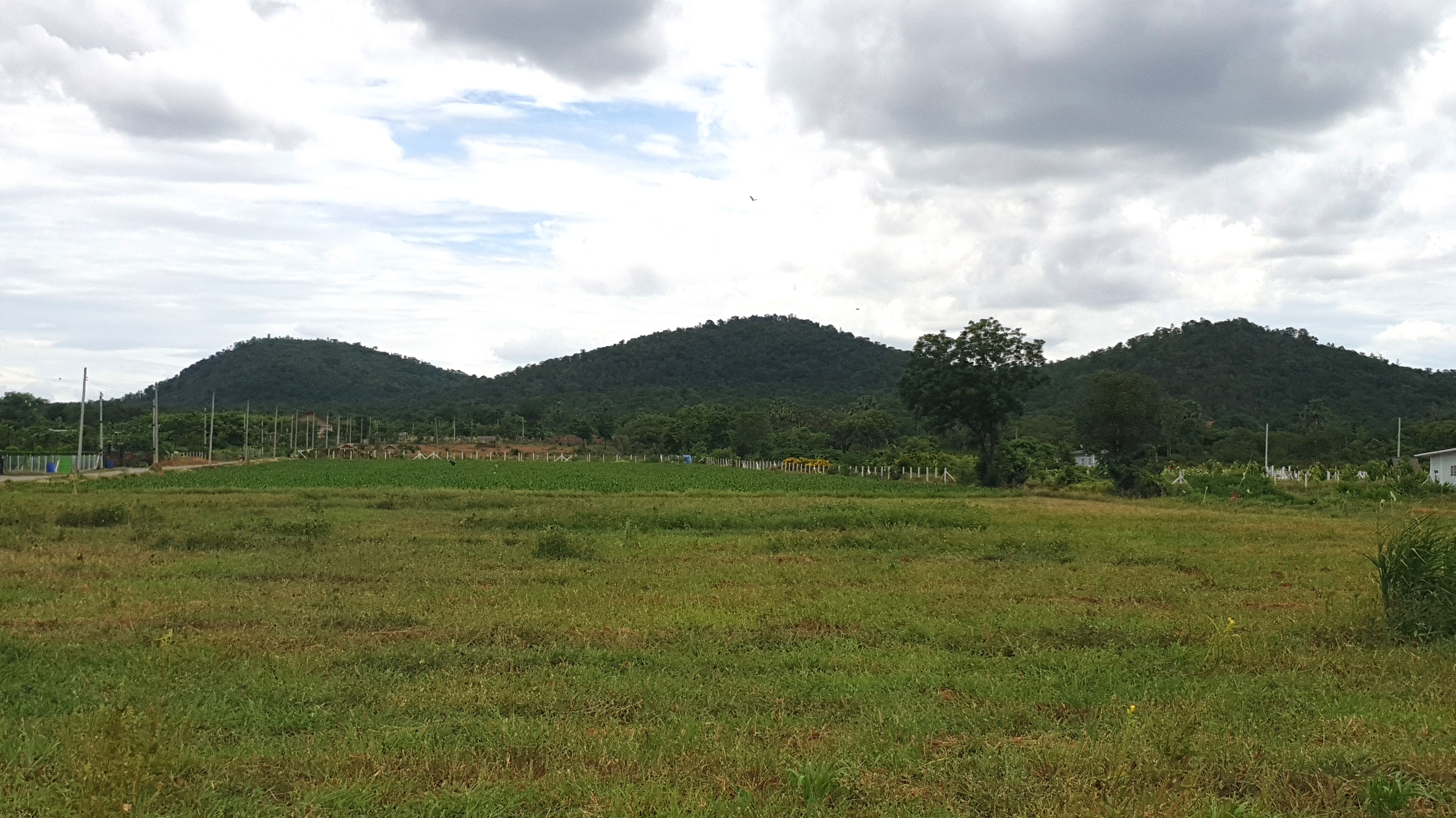 ขายที่ดินวิวภูเขา 180° อ.อู่ทอง จ.สุพรรณบุรี ใกล้แลนด์มาร์คสำคัญใน อ.อู่ทอง เนื้อที่: 16 ไร่ 1 งาน 26.8 ตร.ว. | ราคาไร่ละ 308,888 บาท ต.พลับพลาไชย อ.อู่ทอง จ.สุพรรณบุรี