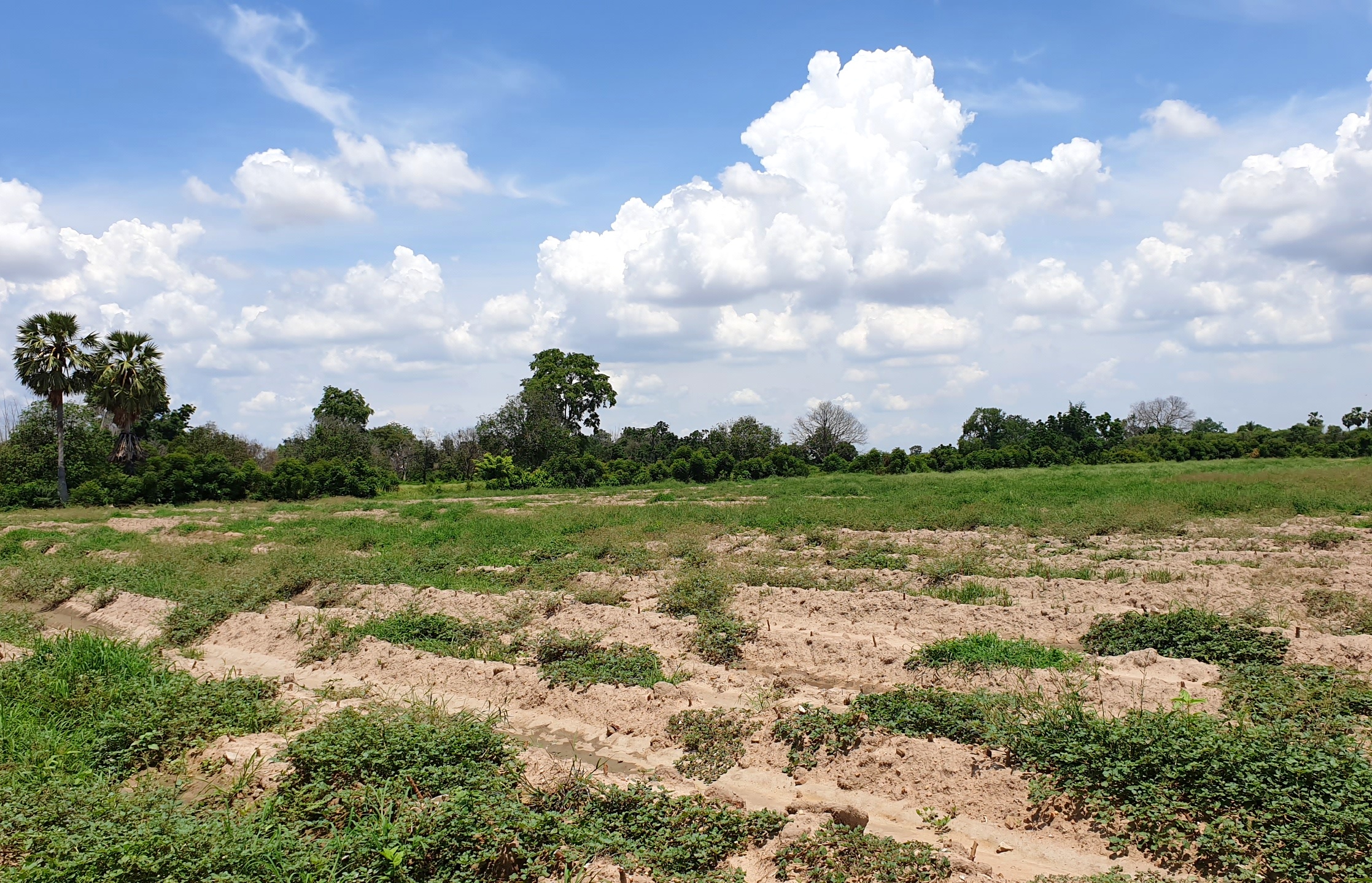 💰ขายแล้ว💰ขายที่ดินติดถนนลาดยาง ทำเลดี ที่สวยมาก จ.สุพรรณบุรี อ.ดอนเจดีย์ บรรยากาศดี วิวสวย วิวภูเขา เนื้อที่ 26-3-44 ไร่ พื้นที่มีความเจริญ การเดินทางสะดวกสบาย