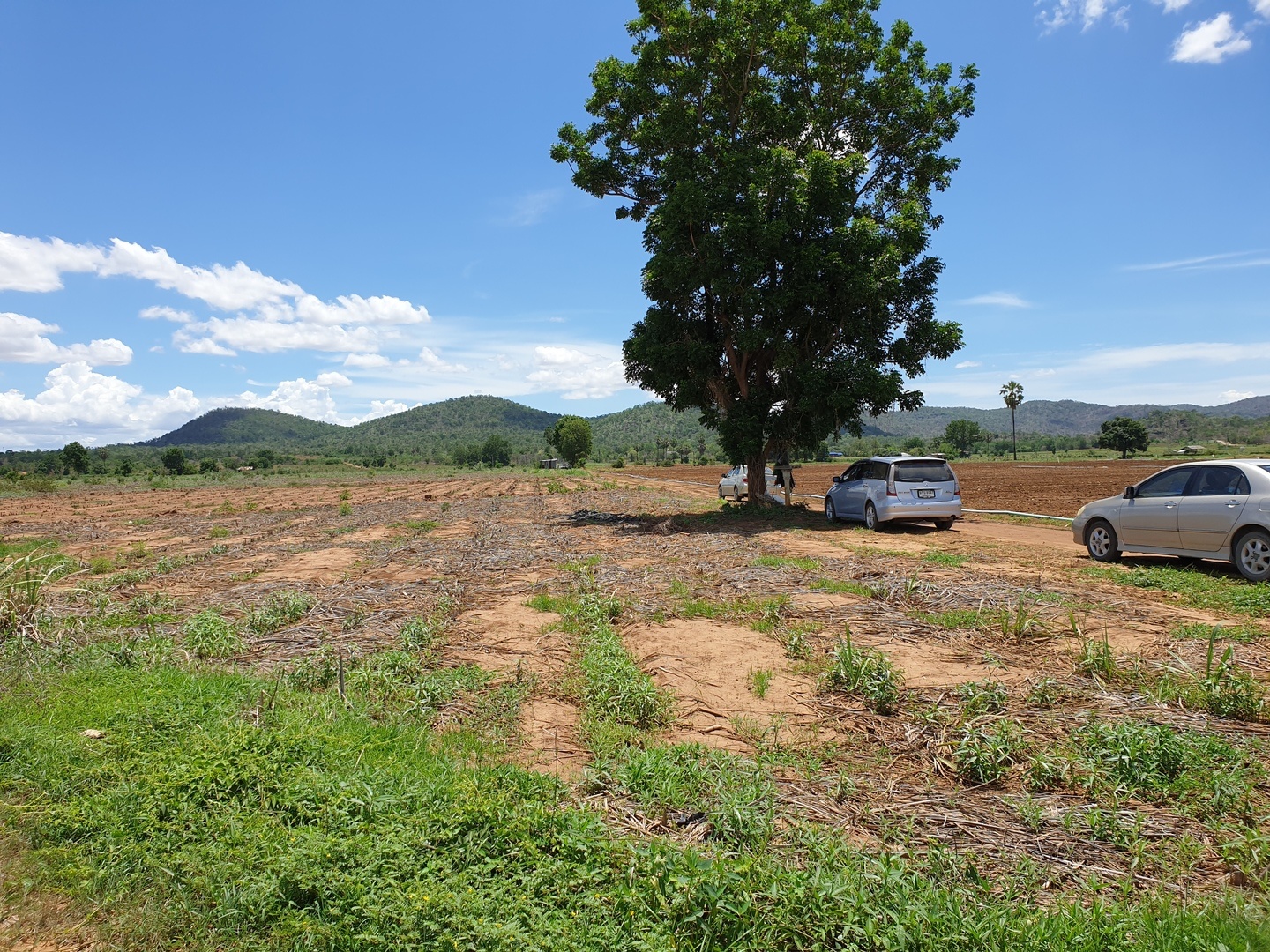 💰ขายแล้ว💰ขายที่ดินสวยราคาถูก อ.อู่ทอง จ.สุพรรณบุรี ดินดี ที่สวย บรรยากาศดี วิวภูเขา เนื้อที่ 16 ไร่ ไร่ละ 180,000 บ. อยู่ใกล้ชุมชน วัด ตลาดนัด ร้านค้า โรงเรียน