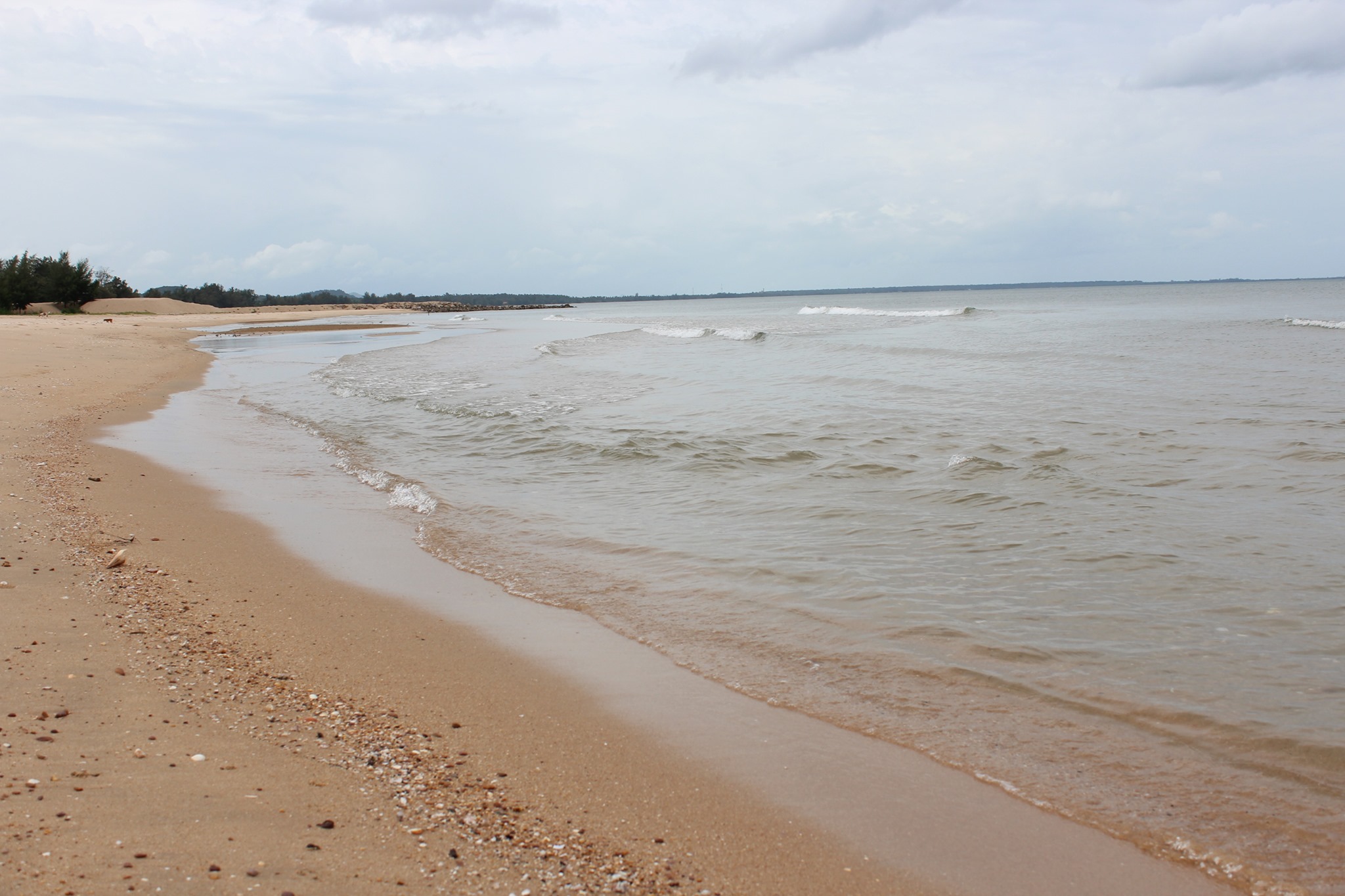 ð§§āļāļīāļāļāļĢāļąāļāļĒāđð§§āļāļēāļĒāļāđāļēāļāļāļąāļāļāļēāļāļāļēāļāļēāļĻāļāļīāļāļāļ°āđāļĨ āļāļĢāļĢāļĒāļēāļāļēāļĻāļāļĩ āļŦāļēāļāļŠāđāļ§āļāļāļąāļ§ āđāļāļ·āđāļāļāļĩāđ 309 āļāļĢāļ§. āļāļēāļĒāļāļąāđāļāļŦāļĄāļāļĢāļ§āļĄāļāđāļēāđāļāļ 32 āļĨāđāļēāļ āļāļēāļāļŠāļ°āļāļēāļ āļāļĢāļ°āļāļ§āļāļāļĩāļĢāļĩāļāļąāļāļāđ āļĢāļīāļĄāļāļēāļĒāļŦāļēāļāļŠāđāļ§āļāļāļąāļ§ 2 āļāļēāļāļēāļĢ āļĄāļĩāļŠāļĢāļ°āļ§āđāļēāļĒāļāđāļģ āļ.āļāļēāļāļŠāļ°āļāļēāļ āļāļīāļāļāļ°āđāļĨ āļŦāļēāļāļŠāđāļ§āļāļāļąāļ§ āļ§āļīāļ§āļāļ°āđāļĨāļŠāļ§āļĒāļĄāļēāļ