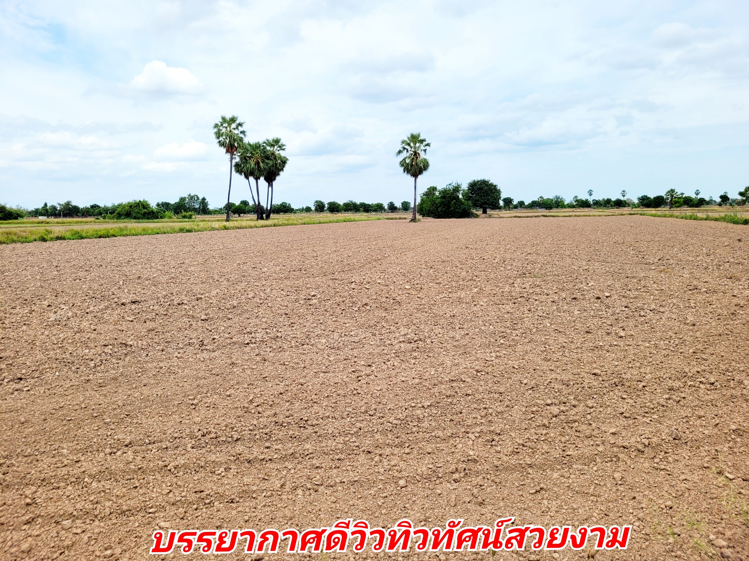 ขายที่ดินแปลงสวย อ. อู่ทอง จ.สุพรรณบุรี ดินดี ที่สวย เนื้อที่ 4-3-95 ไร่ ขายยกแปลง 1,250,000 บาท อยู่ใกล้ชุมชน เซเว่น รร วัด ตลาดนัด จากถนนทางหลวง 333 ประมาณ 900 เมตร