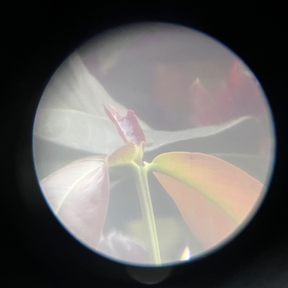 กล้องส่องทางไกล ดูนก ส่องสัตว์ Jiehe 20-60X60