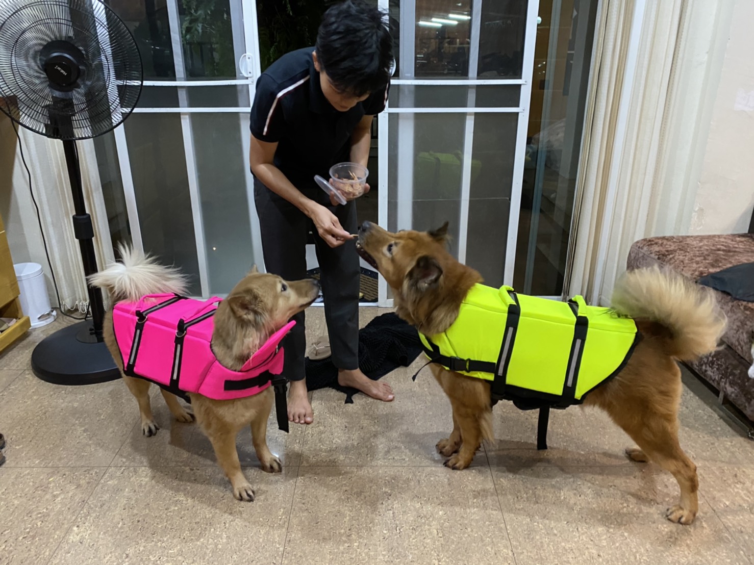 เสื้อชูชีพสุนัข Dogtalog เบอร์ XL