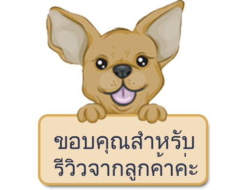 เสื้อชูชีพสุนัข Dogtalog แบบมีรองคอถอดได้ : สีส้ม