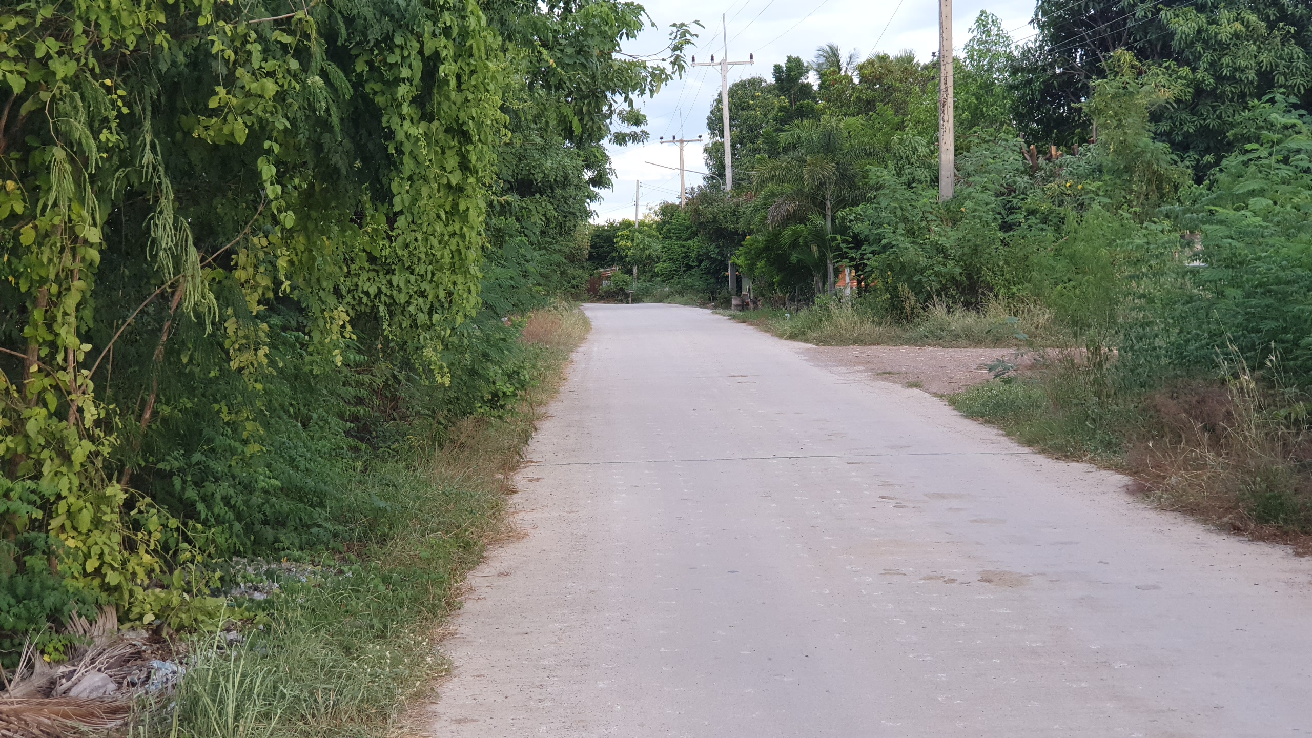 💰ขายแล้ว💰ขายที่ดินสวนมะพร้าวน้ำหอม อ.อู่ทอง จ.สุพรรณบุรี เนื้อที่ 20 ไร่ พร้อมบ้านสวยพร้อมอยู่ ขายยกแปลง 12 ล้าน บรรยากาศดี สงบ ร่มรื่น น้ำท่า อุดมสมบูรณ์