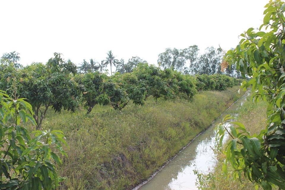 ð°āļāļēāļĒāđāļĨāđāļ§ð°āļāļēāļĒāļāļĩāđāļāļīāļāļŠāļ§āļāļĄāļ°āļĄāđāļ§āļ āļ.āđāļĄāļ·āļāļ āļ.āļŠāļļāļāļĢāļĢāļāļāļļāļĢāļĩ āđāļāļ·āđāļāļāļĩāđ 10-0-22 āđāļĢāđ āļāļēāļĒāđāļĢāđāļĨāļ° 5 āđāļŠāļ āļāđāļēāļāļŦāļāđāļēāļāļīāļāļāļāļāļāļēāļāļŦāļĨāļ§āļāļāļāļāļ 3006 āļāļĩāđāļŠāļ§āļĒ āļŦāļāđāļēāļāļ§āđāļēāļāļāļīāļāļāļāļ 85 āđāļĄāļāļĢ ðāļāđāļēāļāļŦāļĨāļąāļāļāļāļāļŠāļēāļāļēāļĢāļāļ°āļāļĢāļ°āđāļĒāļāļāđ āļāļ§āđāļēāļ 75 āđāļĄāļāļĢ āļĄāļ°āļĄāđāļ§āļ 800 āļāļ§āđāļēāļāđāļ āļāļēāļĒāļļ 5-6 āļāļĩ āļāļĢāđāļāļĄāđāļāđāļ