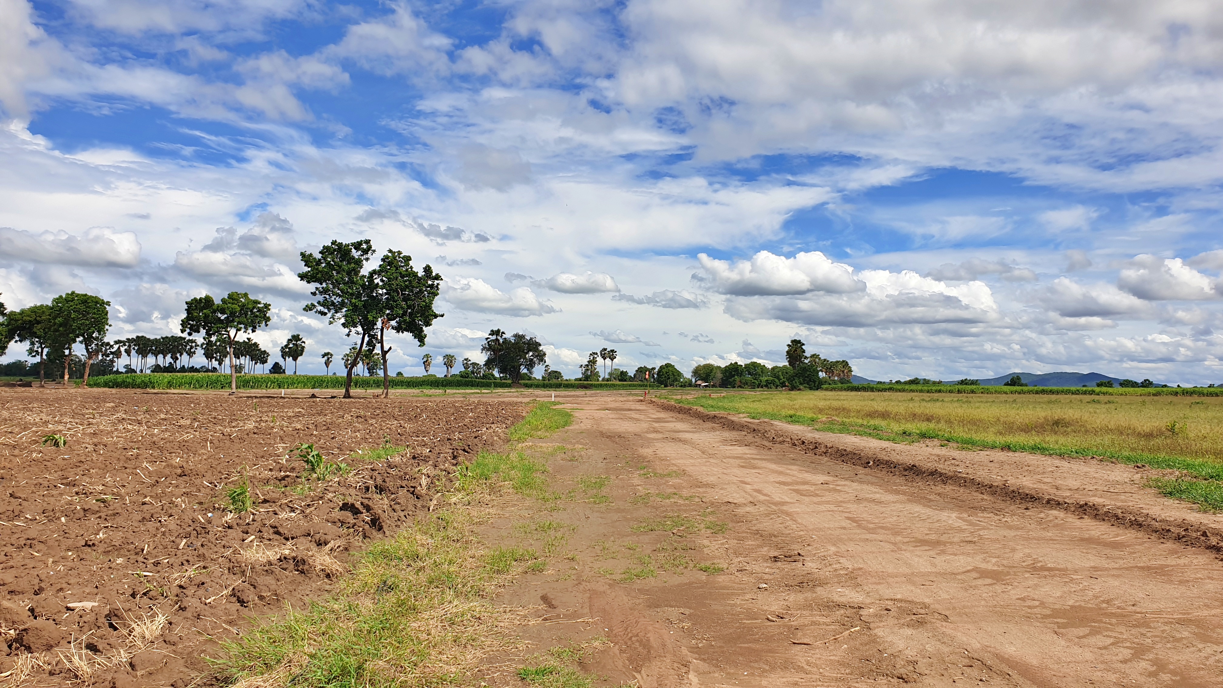 💰ขายแล้ว💰ขายที่ดินแปลงสวย วิวภูเขา อ.อู่ทอง จ.สุพรรณบุรี เนื้อที่ : 8 ไร่ ไร่ละ 250,000 บาท ที่สวยบรรยากาศดี วิวทิวทัศน์สวยงาม วิวภูเขา ใกล้แหล่งชุมชน ⚜จากถนนลาดยางเข้ามาประมาณ 500 เมตร อยู่ใกล้ชุมชน วัด ตลาดนัด ร้านค้า โรงเรียน ติด
