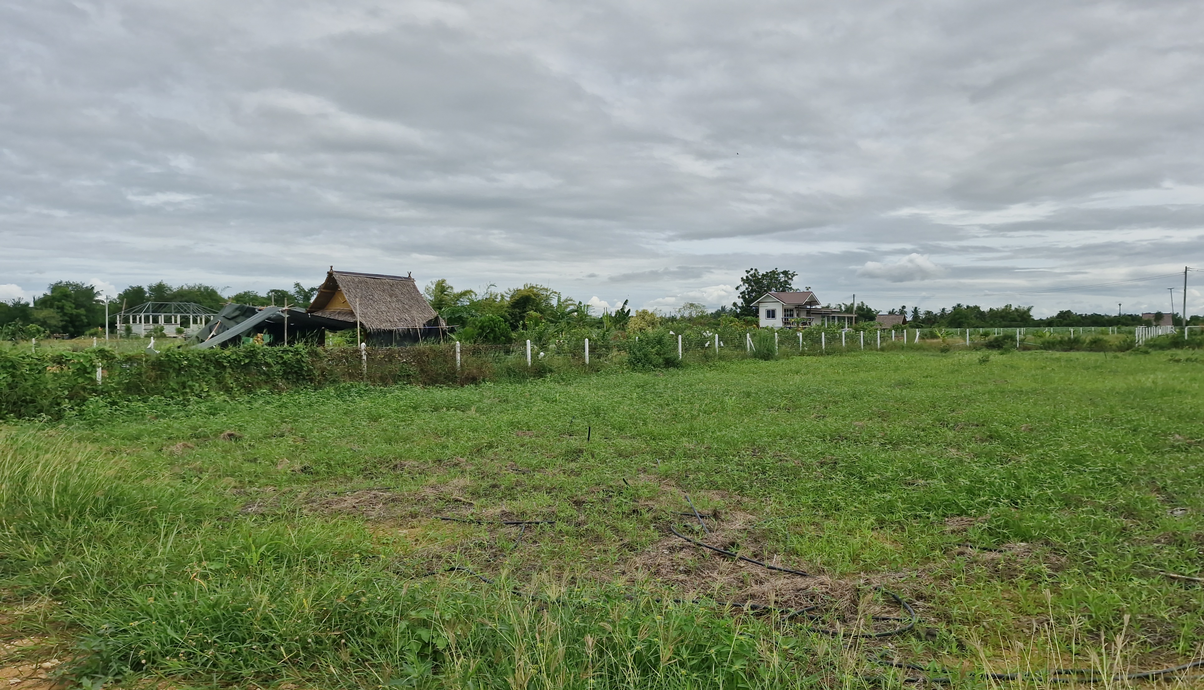 ขายถูก! ที่ดิน 1 ไร่ 2 งาน อ.อู่ทอง สุพรรณบุรี ถมแล้วพร้อมรั้ว ติดถนนลาดยาง ใกล้โรงเรียน วัด โรงพยาบาล ตลาดสด หน้ากว้าง 32 ม. ลึก 82 ม. ถมแล้ว มีรั้ว 💰 ราคาเพียง 629,000 บาท