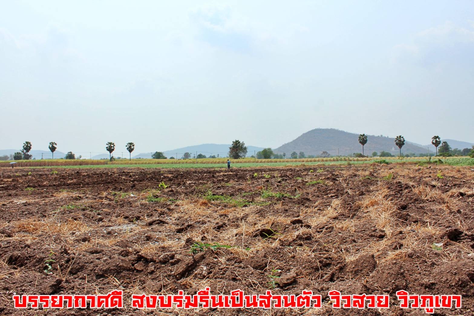 💰ขายแล้ว💰ขายที่ดินแปลงสวย วิวภูเขา เมืองทราวดี อ.อู่ทอง จ.สุพรรณบุรี เนื้อที่ 9ไร่ ไร่ละ 320,000 บ. {ขายยกแปลง}ที่สวย บรรยากาศดี วิวทิวทัศน์สวยงาม ⚜ติดถนนทางสาธารณะ กว้าง 7 เมตร สาธารณูปโภคครบครัน อยู่ใกล้แหล่งชุมชน