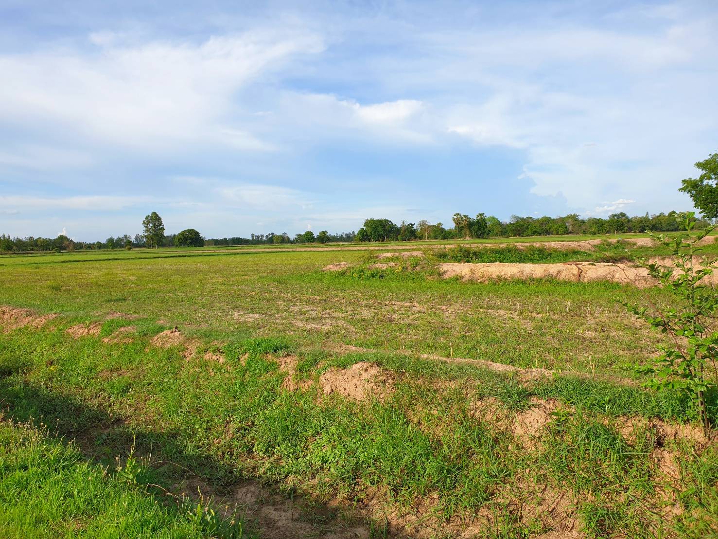 💰ขายแล้ว💰ขายที่ดินทำสวนเกษตร ที่สวย ติดถนน ติดคลอง อ.อู่ทอง จ.สุพรรณบุรี เนื้อที่ 19-1-87 ไร่ ไร่ละ 140,000 บ.