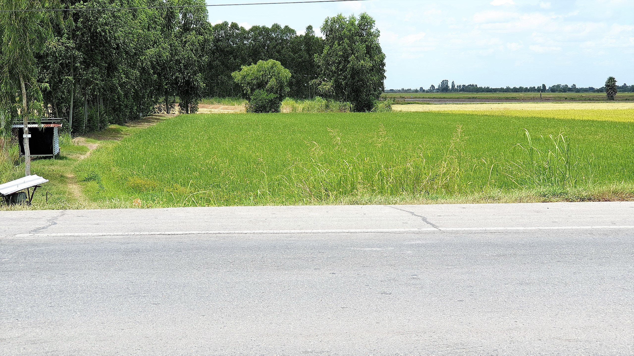 💰ขายแล้ว💰ที่ดินแปลงสวย เนื้อที่ 2-1-55 ไร่ ติดถนนทางหลวง 333 อ.อู่ทอง จ.สุพรรณบุรี น้ำท่าอุดมสมบูรณ์ ไฟฟ้า 3 เฟส