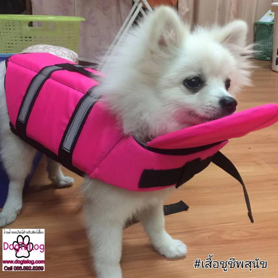 Dogtalog เสื้อชูชีพสุนัข Dogtalog แบบมีรองคอถอดได้ สีชมพู Pink