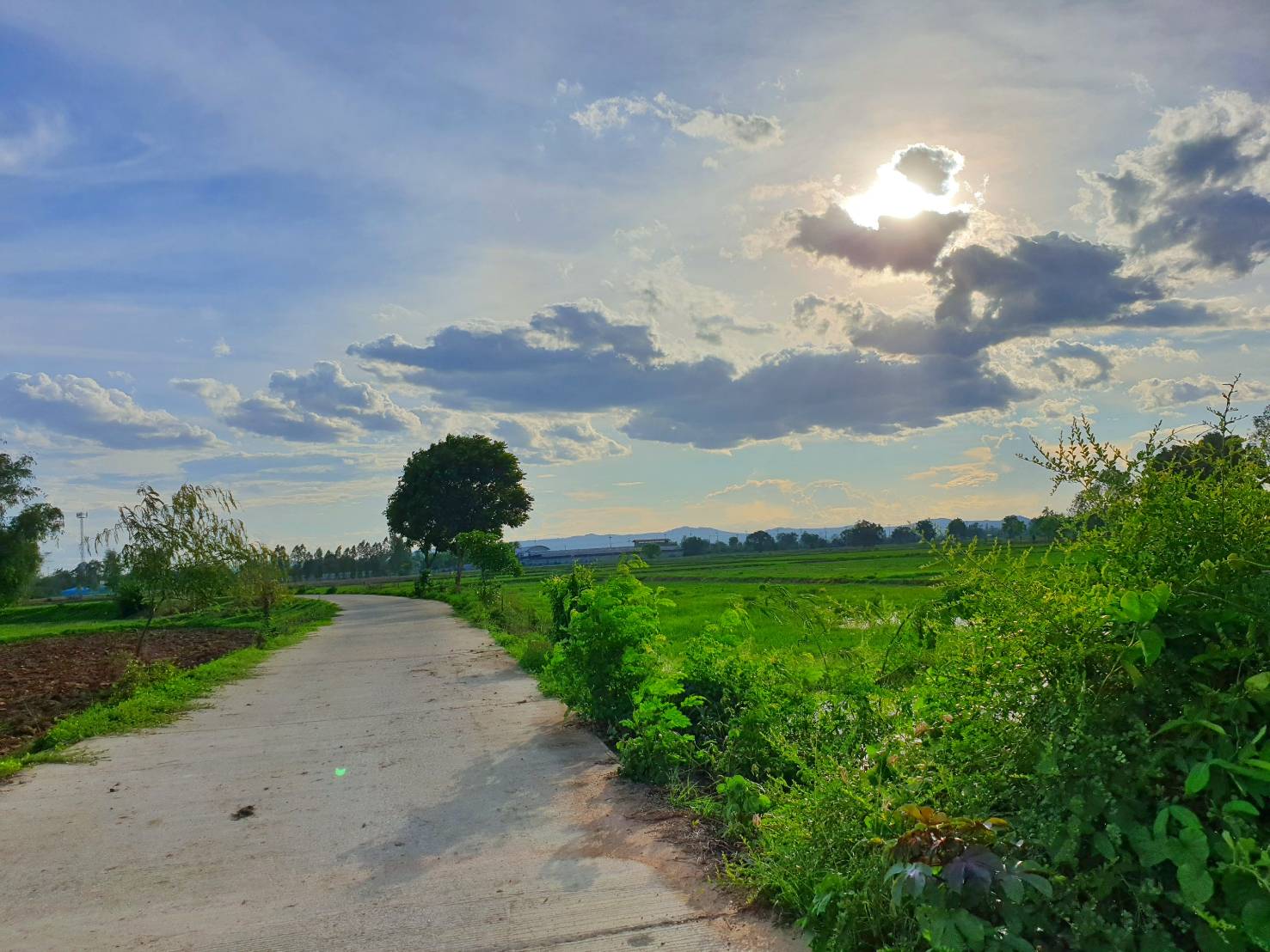 💰ขายแล้ว💰ขายที่ดินทำสวนเกษตร ที่สวย ติดถนน ติดคลอง อ.อู่ทอง จ.สุพรรณบุรี เนื้อที่ 19-1-87 ไร่ ไร่ละ 140,000 บ.