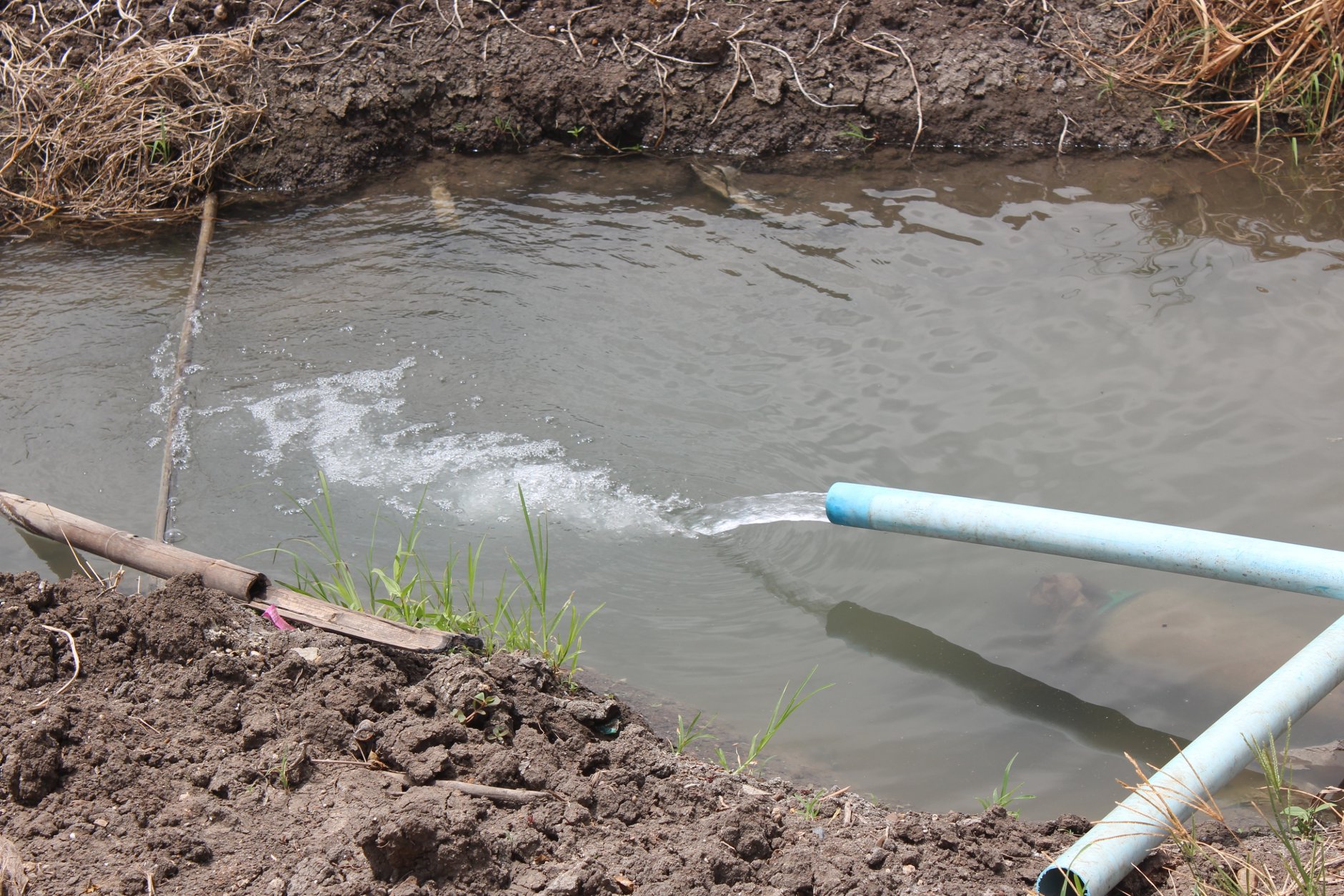 🍄ติดทรัพย์🍄ขายที่ดิน อ.อู่ทอง สุพรรณบุรี ใกล้สวนสวรรค์ ตลาดสีเขียวสุพรรณบุรี 37 ไร่ 1 งาน 93 ตรว ขายยกแปลง 9 ล้าน สถานที่ท่องเที่ยวชมพืชพันธุ์ดอกไม้ ทุ่งทานตะวัน มีถนนตัดผ่านรอบพื้นที่ ทำทางถนนรอบที่ ให้เรียบร้อย มีบ่อบาดาลในที่ 2 บ่อ มีคล