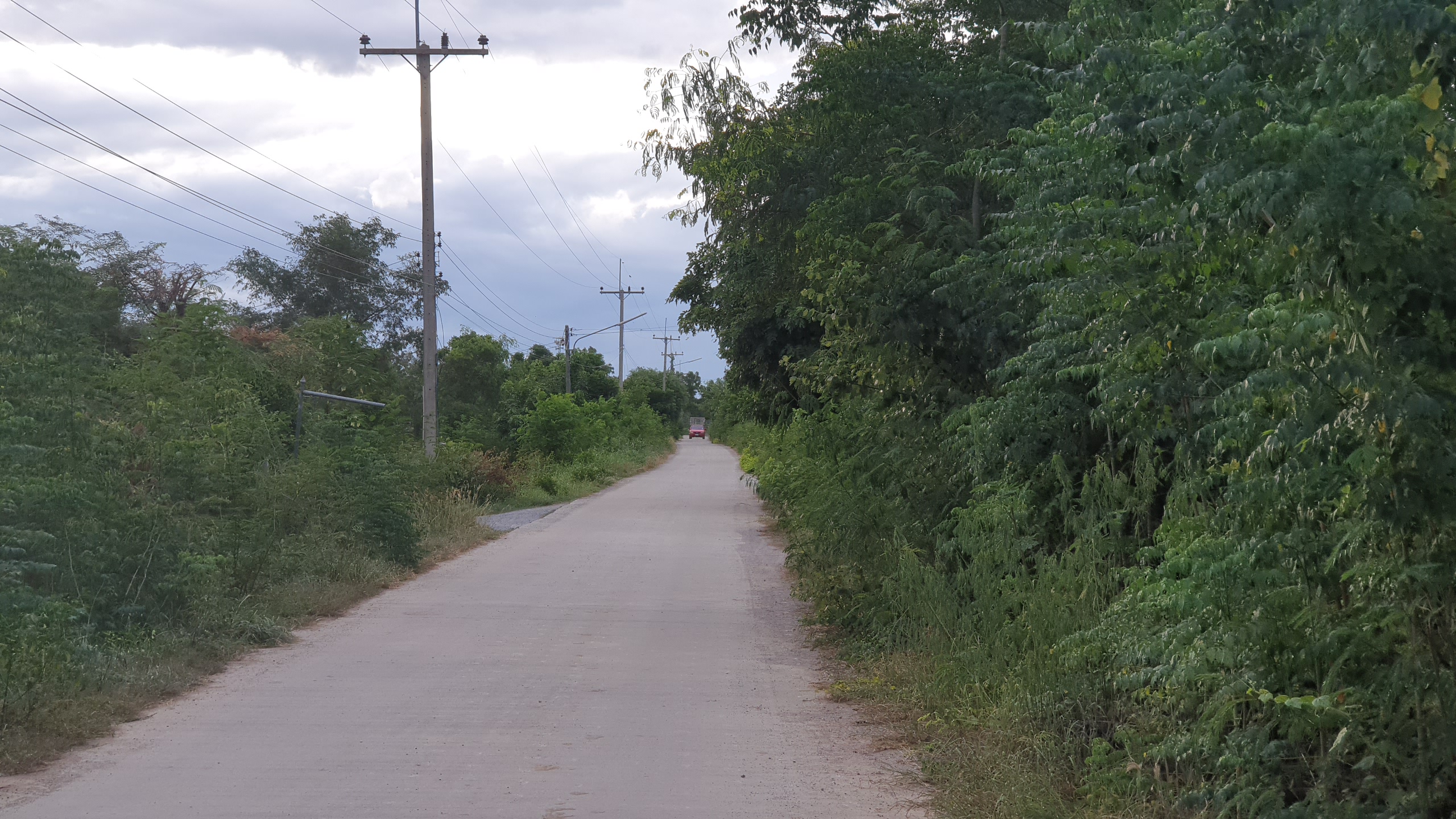 💰ขายแล้ว💰ขายที่ดินสวนมะพร้าวน้ำหอม อ.อู่ทอง จ.สุพรรณบุรี เนื้อที่ 20 ไร่ พร้อมบ้านสวยพร้อมอยู่ ขายยกแปลง 12 ล้าน บรรยากาศดี สงบ ร่มรื่น น้ำท่า อุดมสมบูรณ์