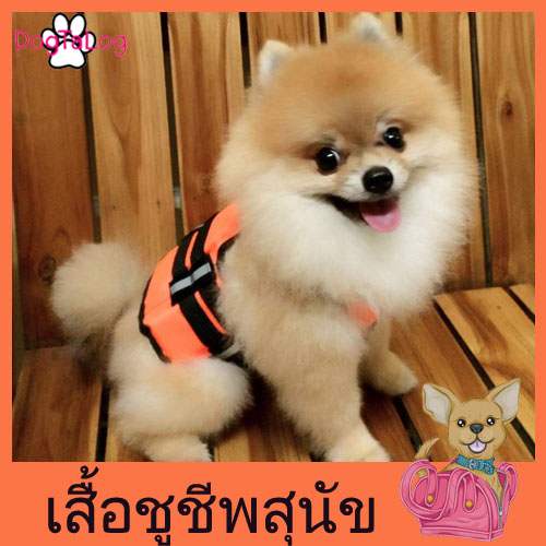 เสื้อชูชีพสุนัขแบบเสื้อกล้าม : สีส้ม