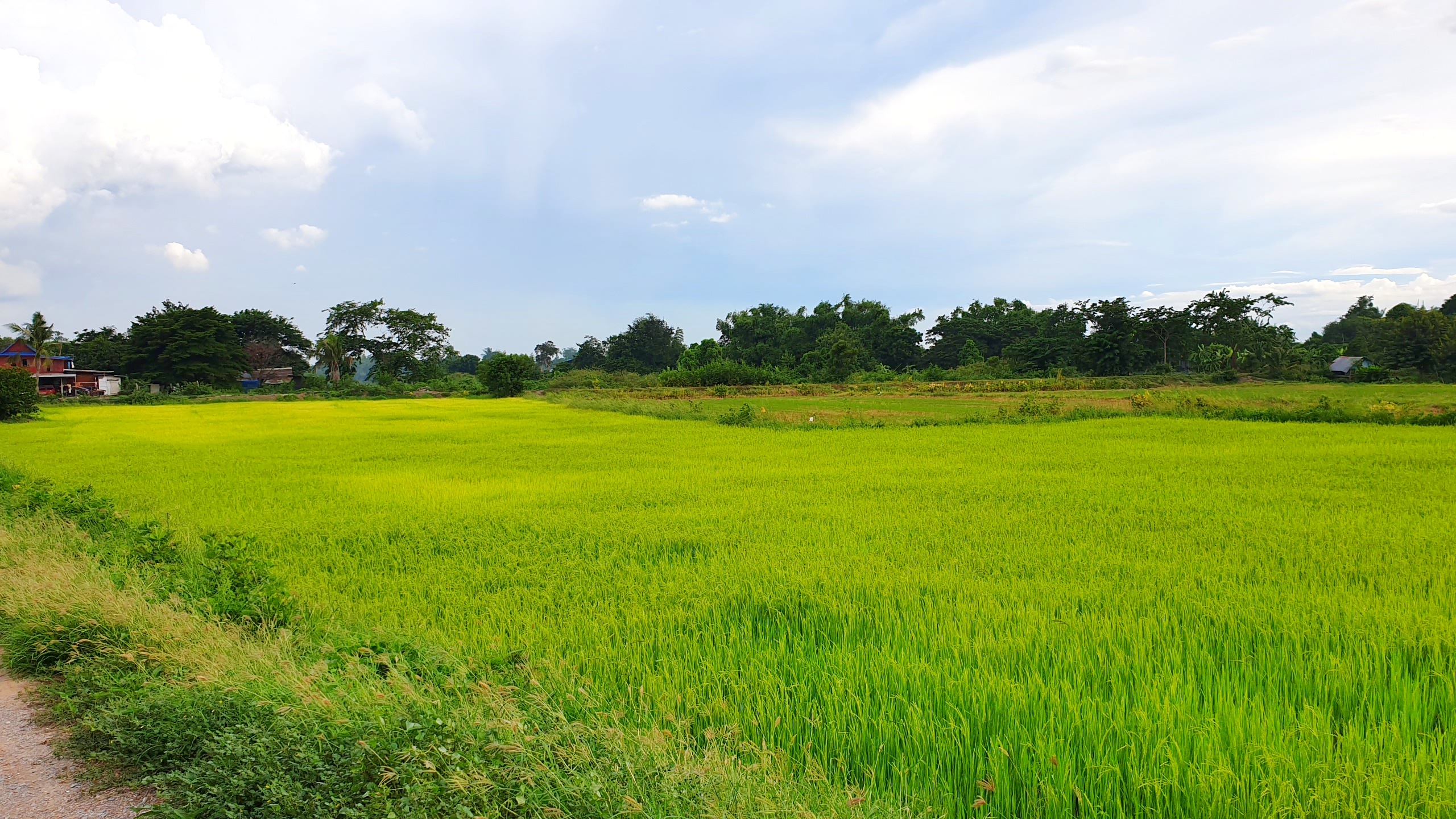 💰ขายแล้ว💰ขายที่ดินแปลงสวยเมืองสุพรรณบุรี ติดถนนใหญ่ 4 เลน เลี่ยงเมืองสุพรรณบุรีสาย 357 เนื้อที่ 6 ไร่ 1 งาน ที่สวย ทำเลทอง