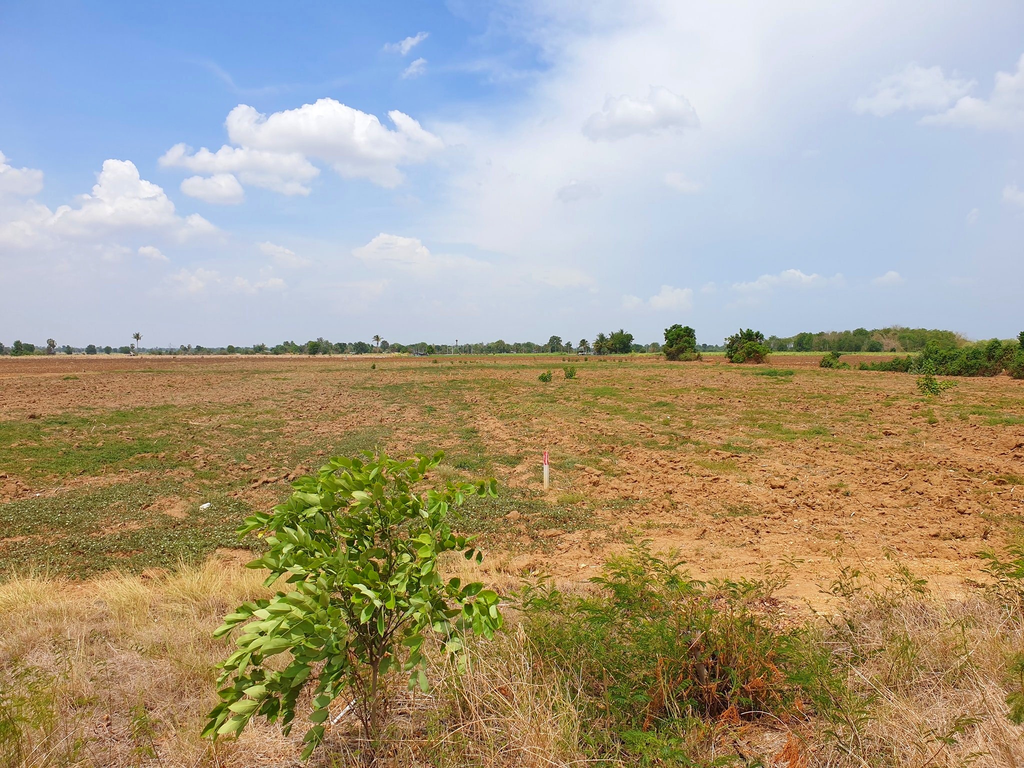 💰ขายแล้ว💰ขายที่ดินราคาถูก สุพรรณบุรี อ.อู่ทอง ดินดี ที่สวย เนื้อที่ 13 ไร่ ไร่ละ 290,000 บาท แบ่งขาย 6 ไร่ ที่ดินติดถนนทางหลวงชนบท 3019 บรรยากาศดี วิวสวย วิวภูเขา