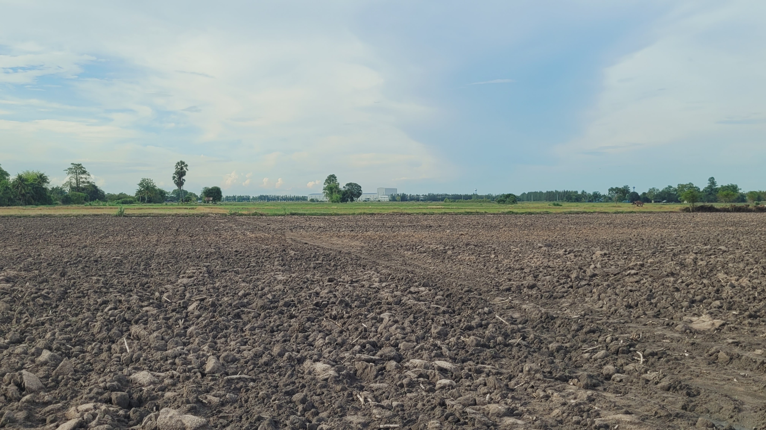 โอกาสทองในการลงทุน! ที่ดินขนาดใหญ่ 11 ไร่ ทำเลดี อ.อู่ทอง สุพรรณบุรี พร้อมพัฒนาเป็นโครงการรีสอร์ท หรือเกษตรกรรม รับประกันการเติบโตในอนาคต