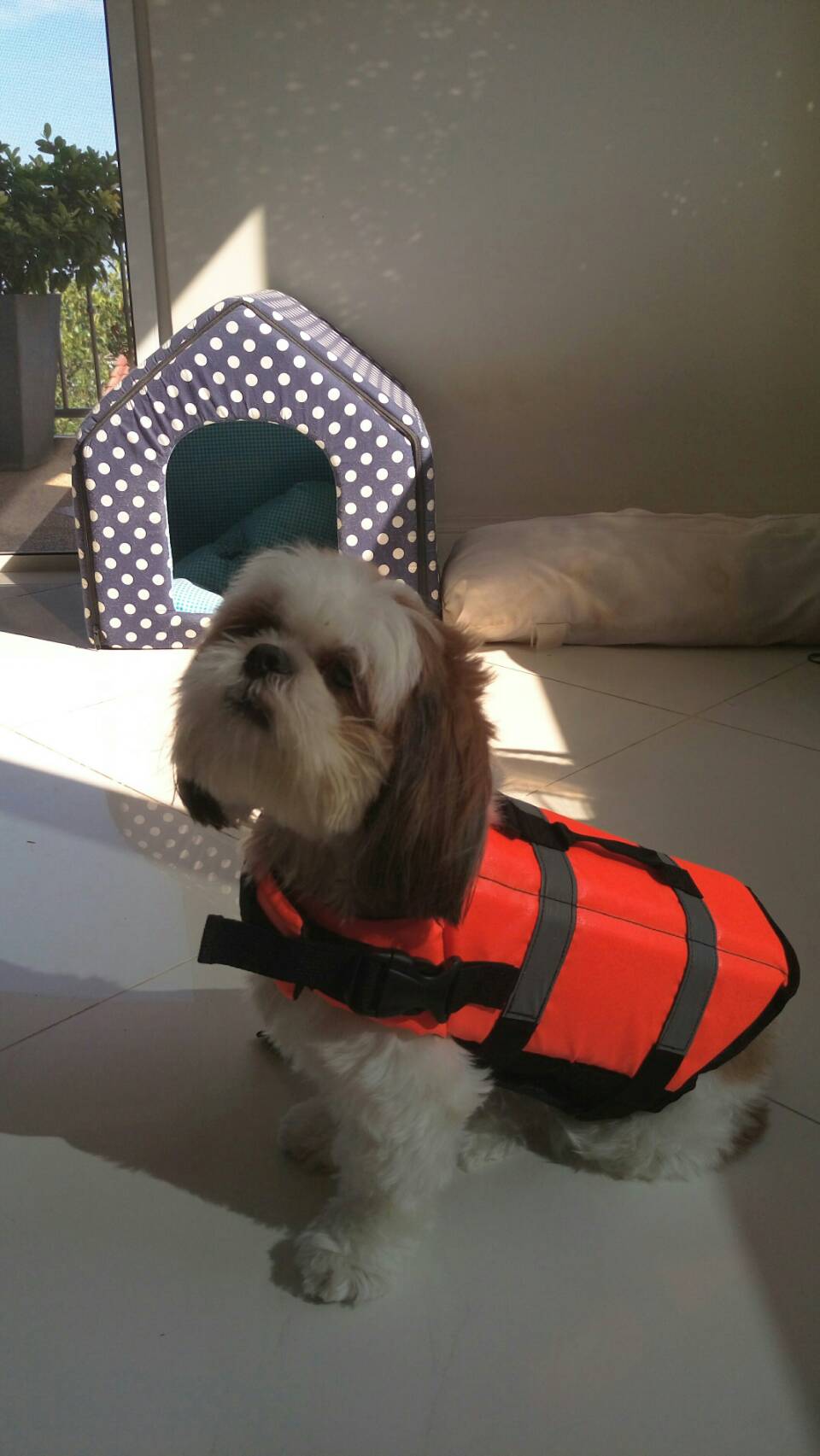 เสื้อชูชีพสุนัข Dogtalog แบบมีรองคอถอดได้ : สีส้ม