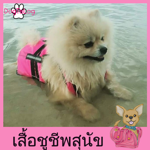 เสื้อชูชีพสุนัขแบบเสื้อกล้าม : สีชมพู
