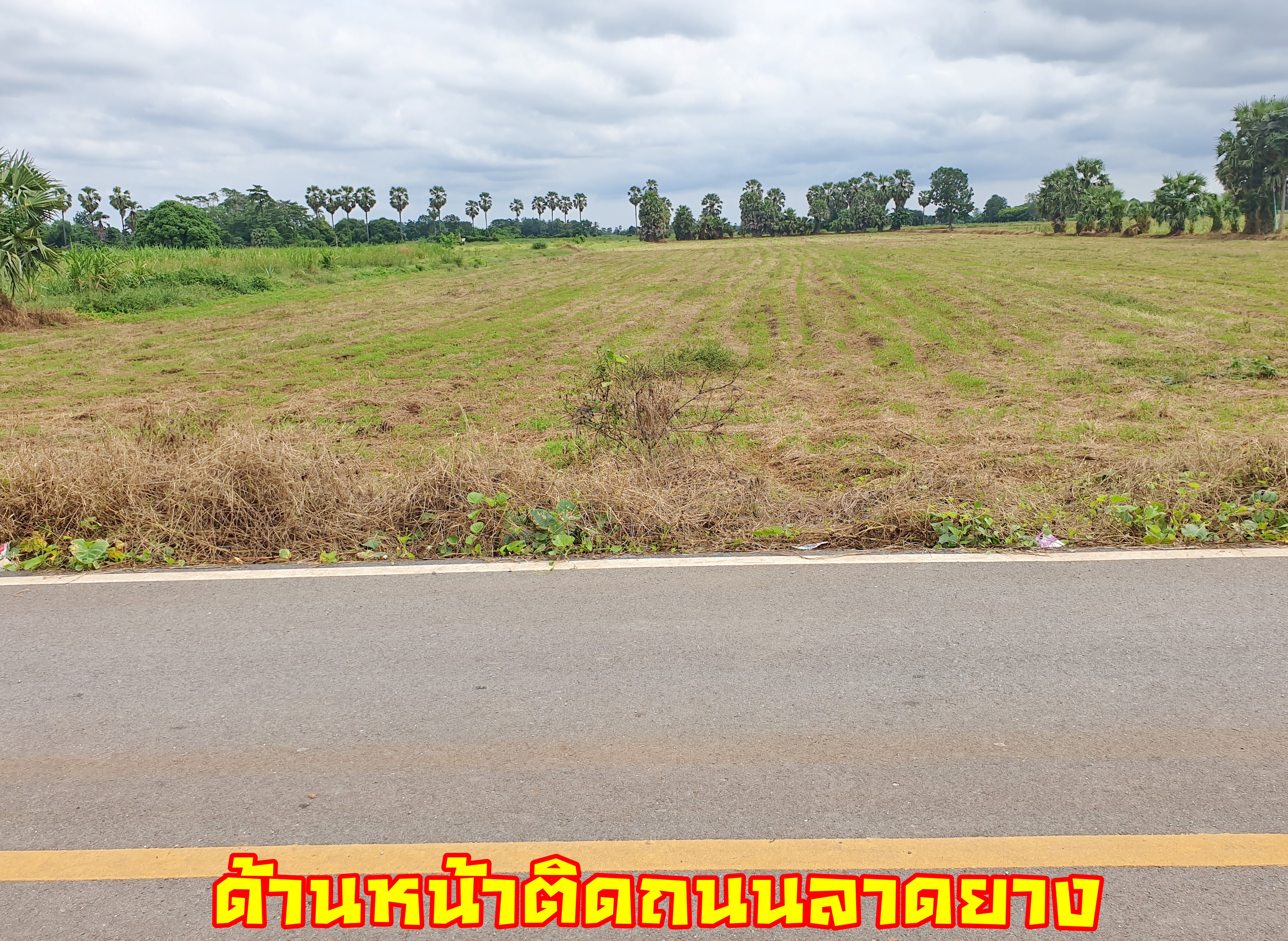 💰ขายแล้ว💰ขายที่ดินติดถนนลาดยาง วิวภูเขา อ.อู่ทอง จ. สุพรรณบุรี เนื้อที่ 9-3-18 ไร่ ขายไร่ละ 2.5 แสน ที่สวยบรรยากาศดี วิวทิวทัศน์สวยงาม ใกล้แหล่งชุมชน น้ำไฟเข้าถึง