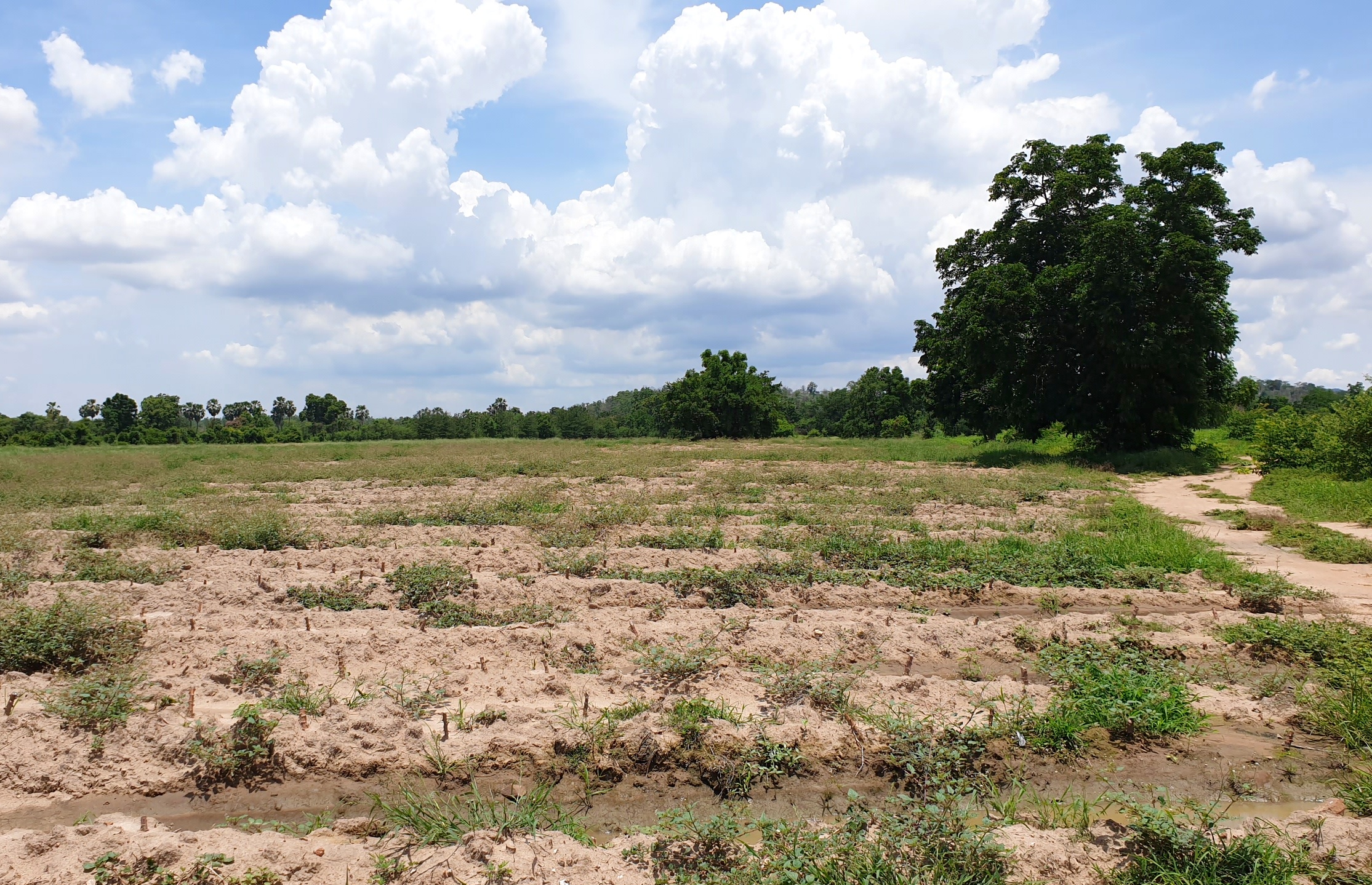 💰ขายแล้ว💰ขายที่ดินติดถนนลาดยาง ทำเลดี ที่สวยมาก จ.สุพรรณบุรี อ.ดอนเจดีย์ บรรยากาศดี วิวสวย วิวภูเขา เนื้อที่ 26-3-44 ไร่ พื้นที่มีความเจริญ การเดินทางสะดวกสบาย