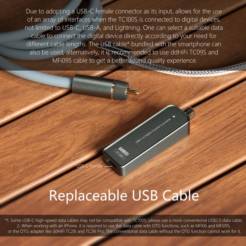 DD TC100S อินเทอร์เฟซดิจิตอล TypeC เป็น RCA Coaxial